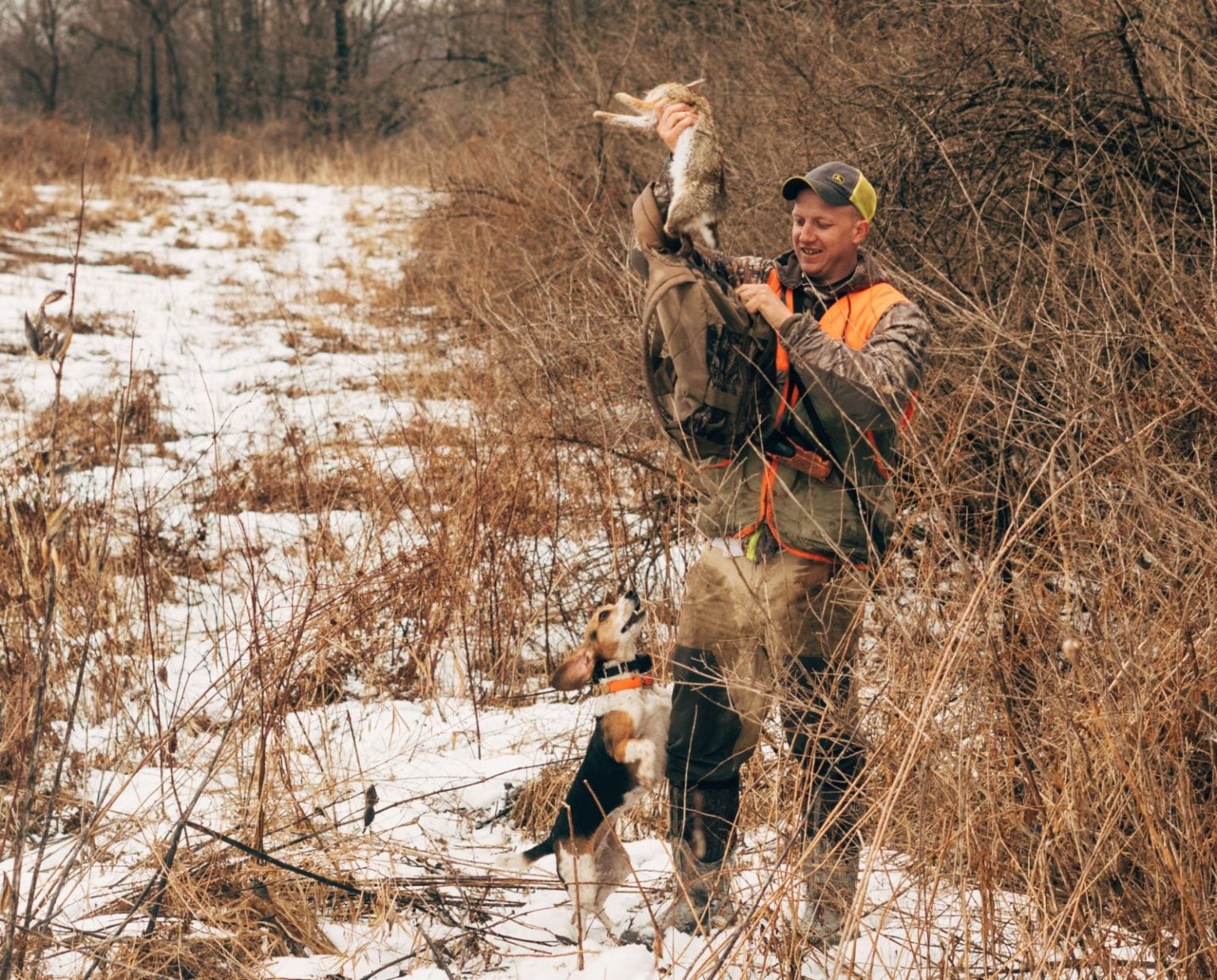 Rabbit Hunting with Dogs: Strategies for Running Cottontails - Project ...