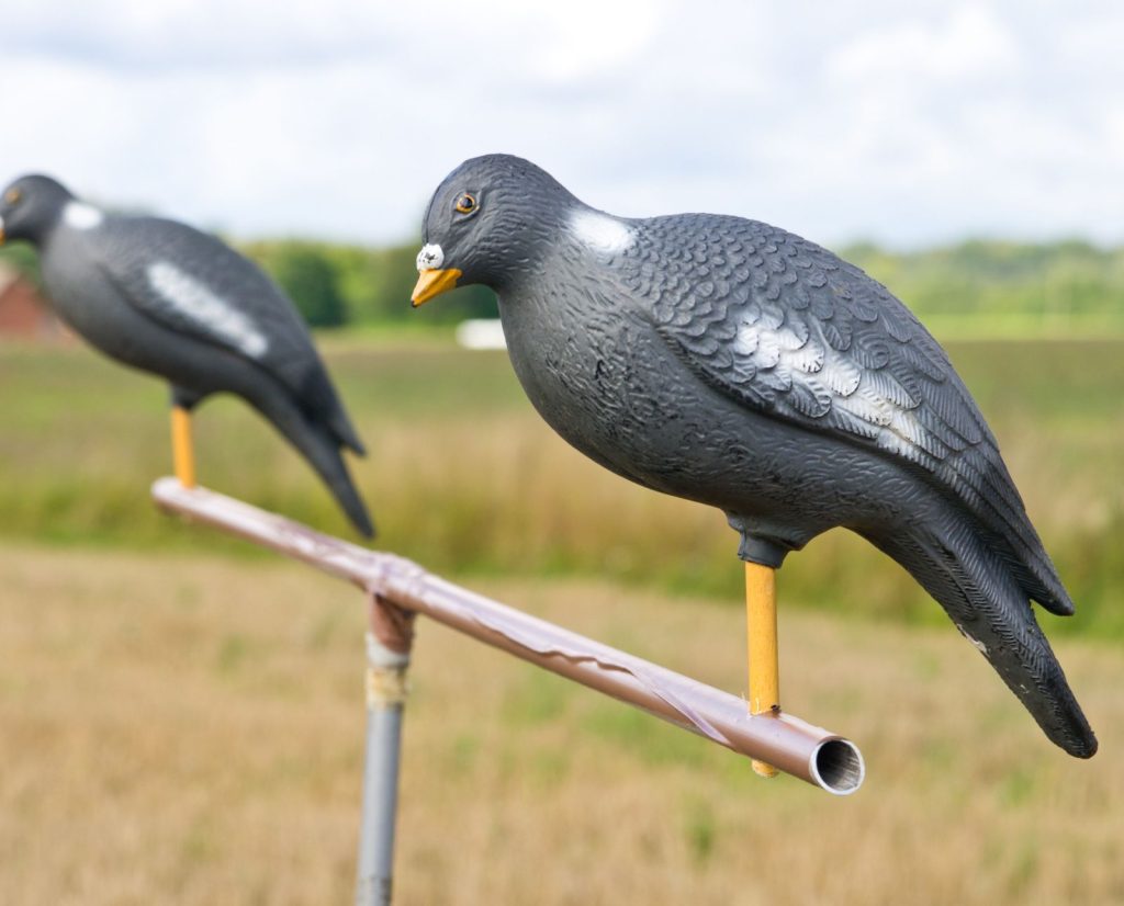 Two pigeon decoys for rock dove hunting.