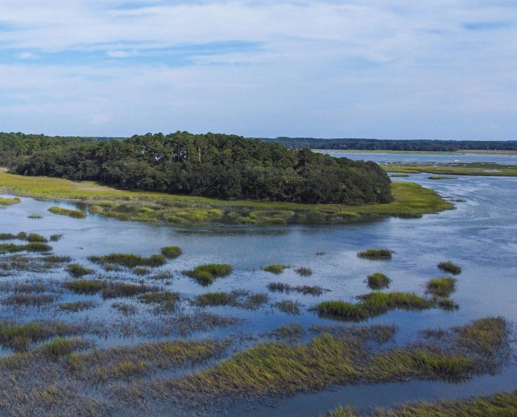 Marsh hen habitat in South Carolina. A saltwater estuary filled with grasses.
