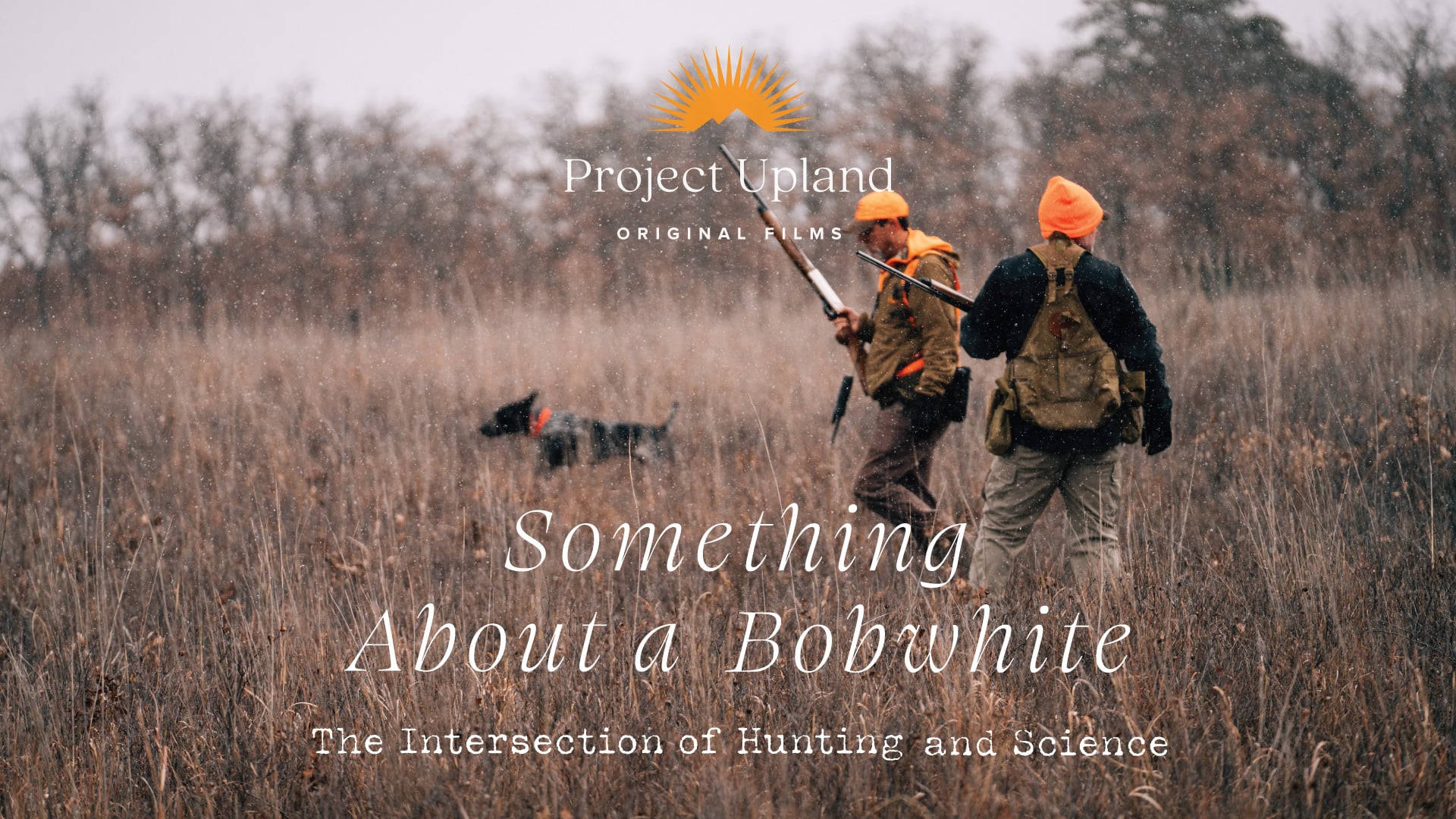 Film cover for Something About a Bobwhite
