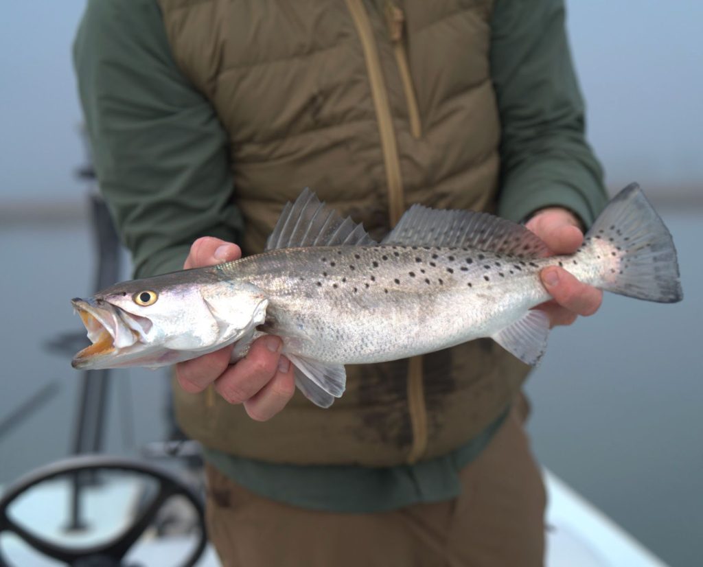A marsh hen hunter holding a speckled trout on a skiff in South Carolina.
