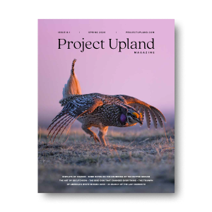 Temporary cover place holder Spring 2026 issue