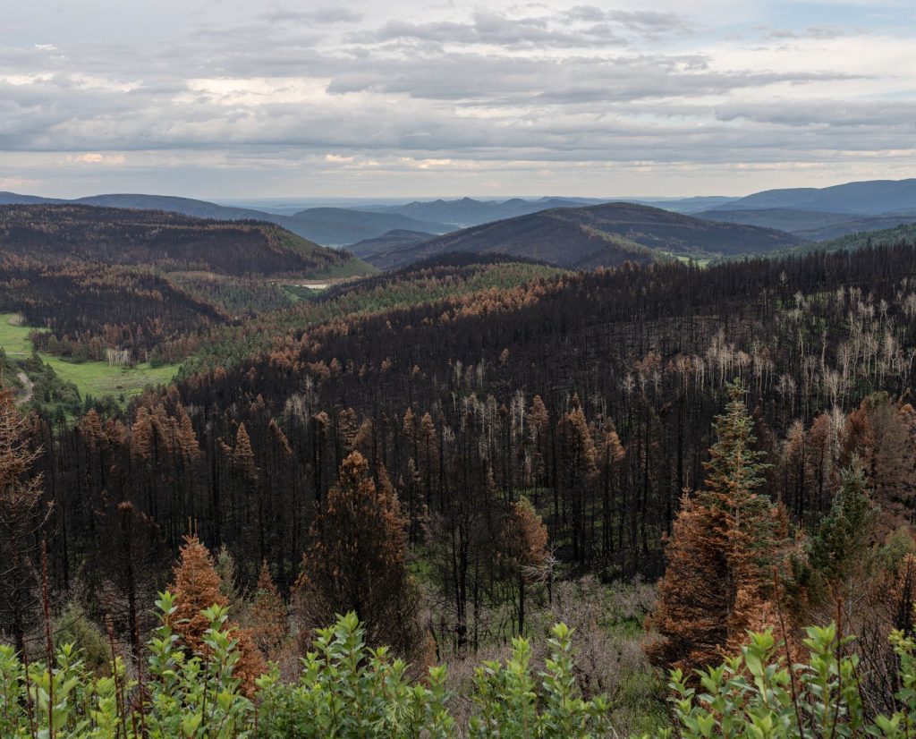 Looking south from NM518 towards burn scars from the Calf Canyon-Hermits Peak Fire.