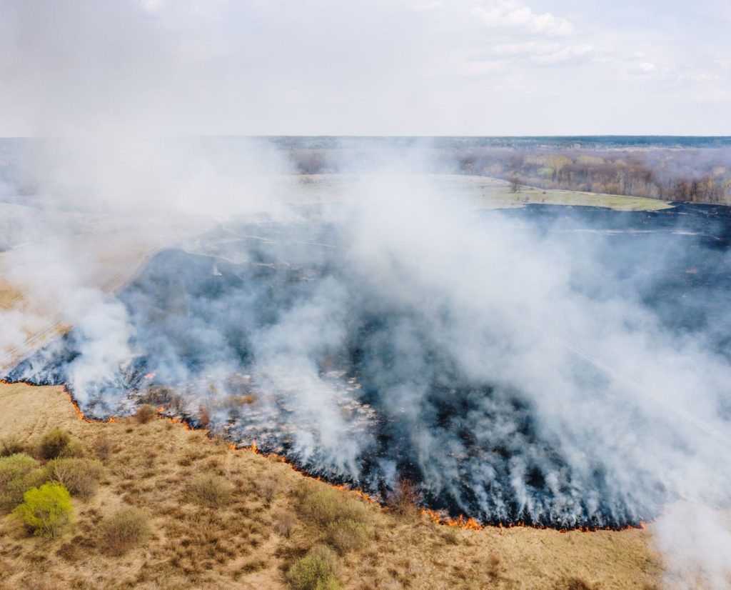 A controlled burn on a grassland where a road is being used as a fire break.