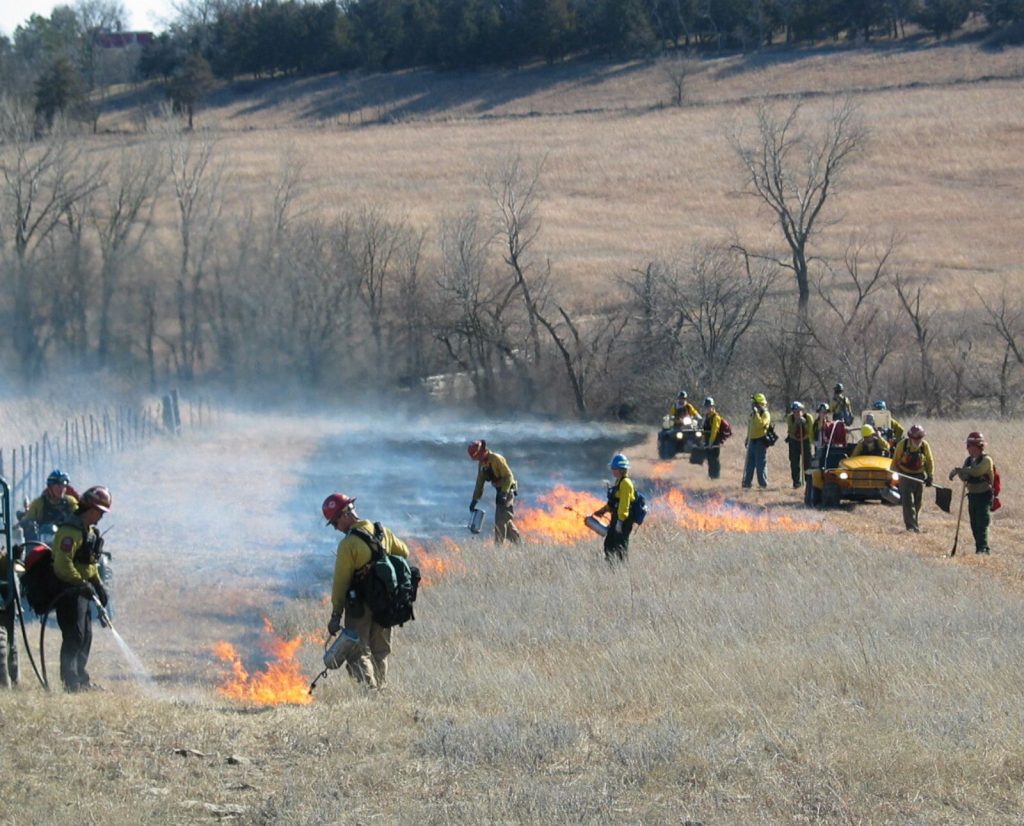 A fire crew ignites a fire line on a small prairie.