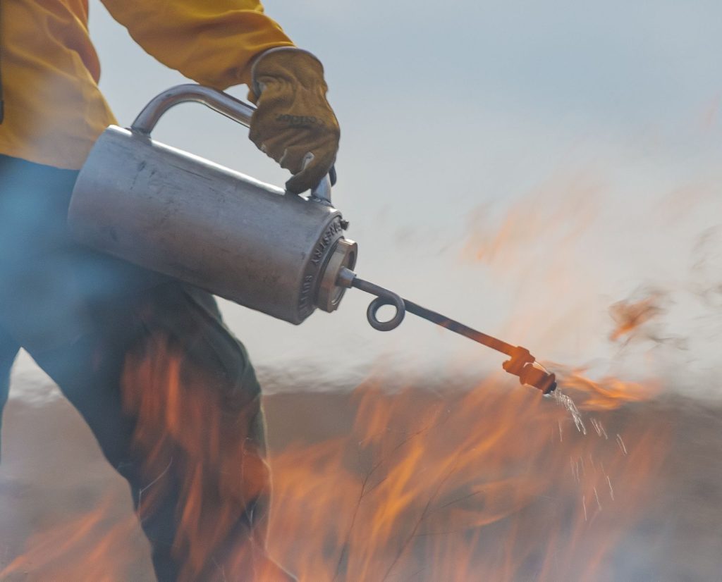 A person on a fire crew wearing PPE ignites a fire using a drip torch.