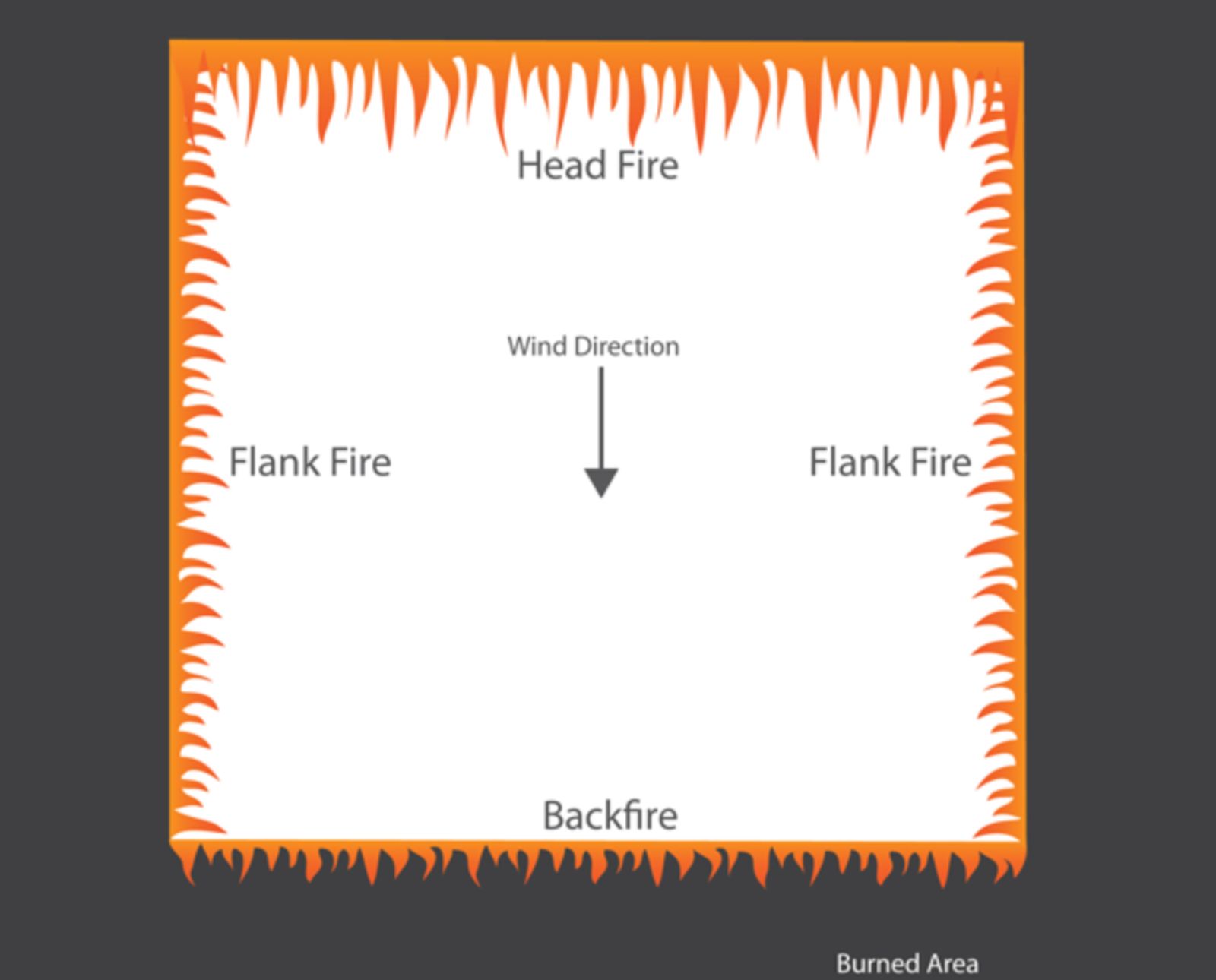 fire-line-illustration-ring-head-fire - Project Upland