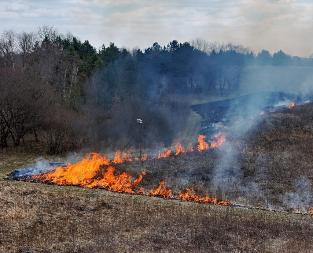 A prescribed burn burning a small prairie in the winter.