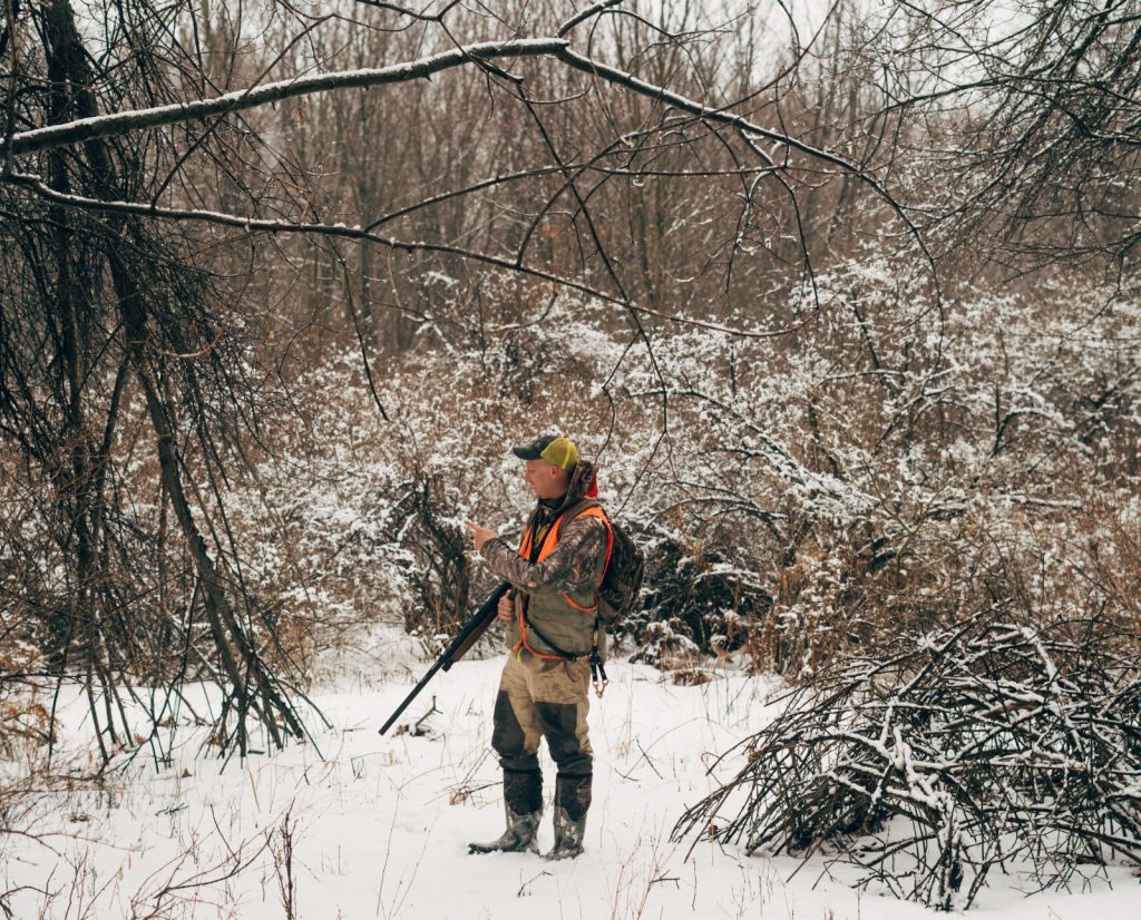 A man checks his beagle's GPS signal while standing in thick rabbit habitat.