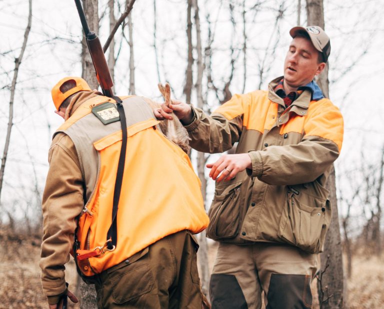 A rabbit hunter slips a cottontail rabbit into another small game hunter's vest.