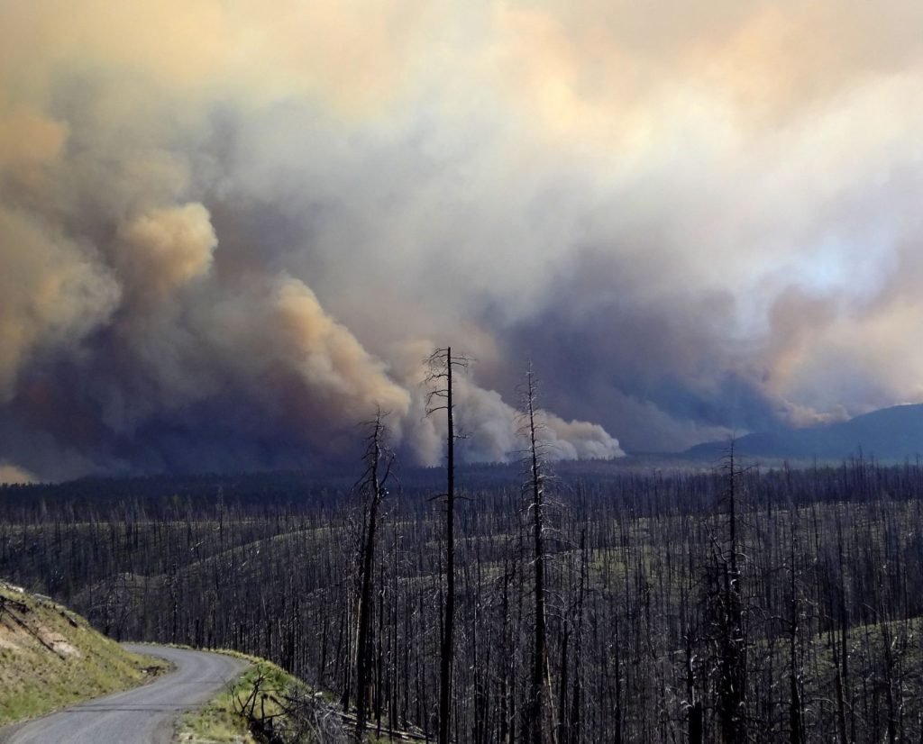 The Whitewater-Baldy Fire of 2011 in New Mexico's Gila National Forest