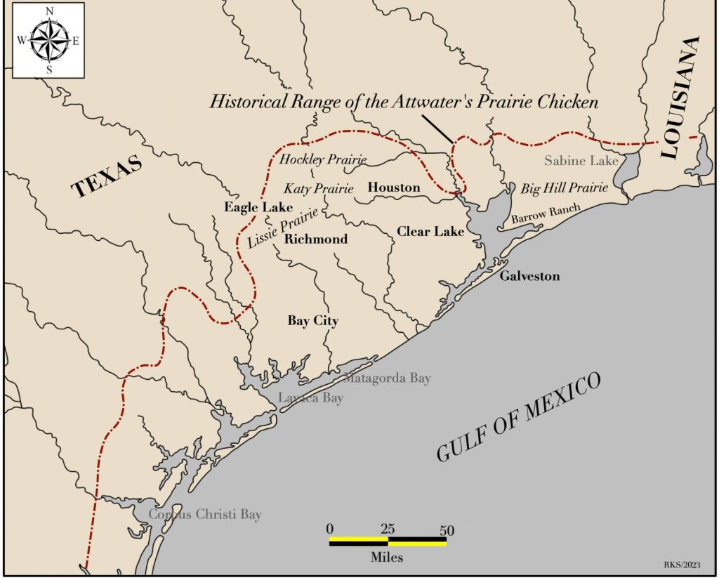 A map of the historical Attwater's prairie chicken range.