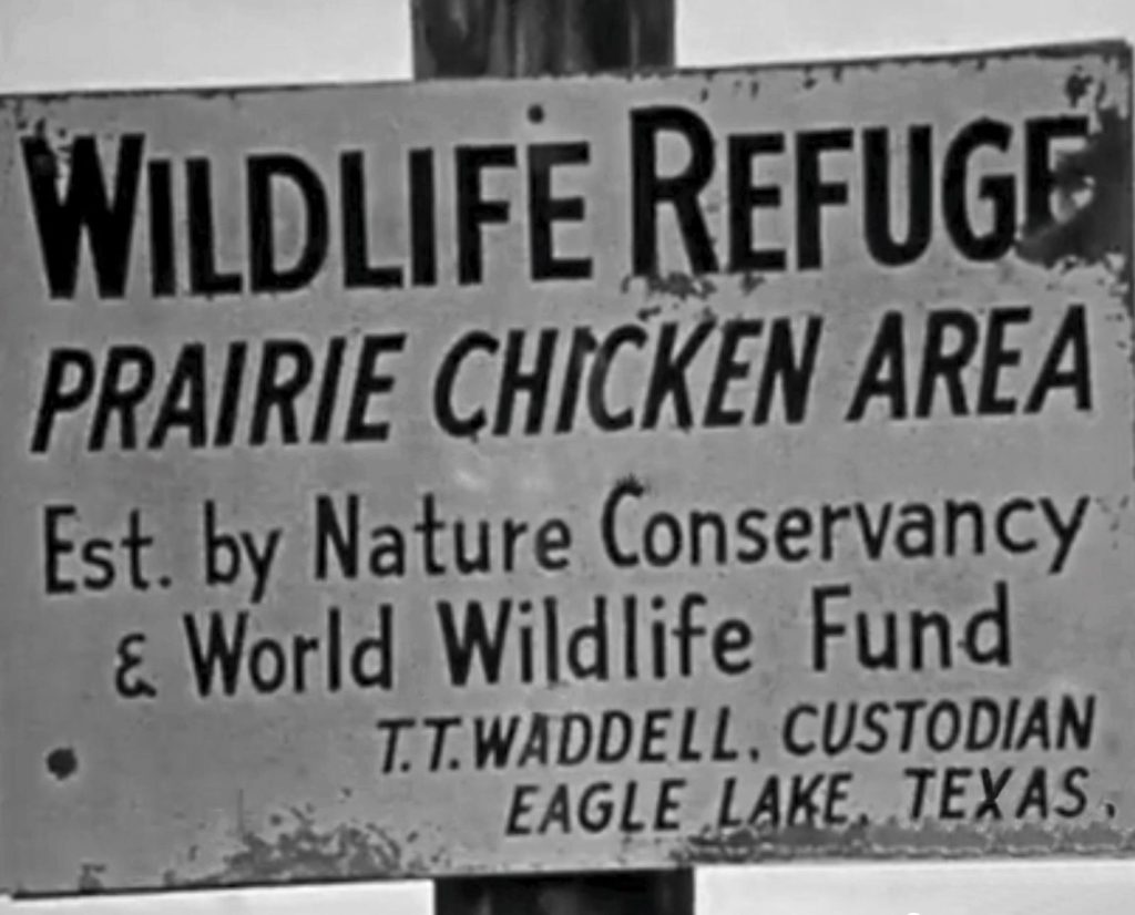 A sign from the 1900s for a wildlife refuge and attwater's prairie chicken area in Texas.