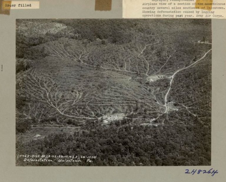 A historical photograph of deforestation in pennsylvania.