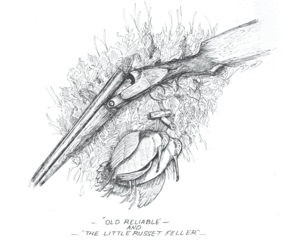 An illustration of a shotgun and two dead American woodcock.