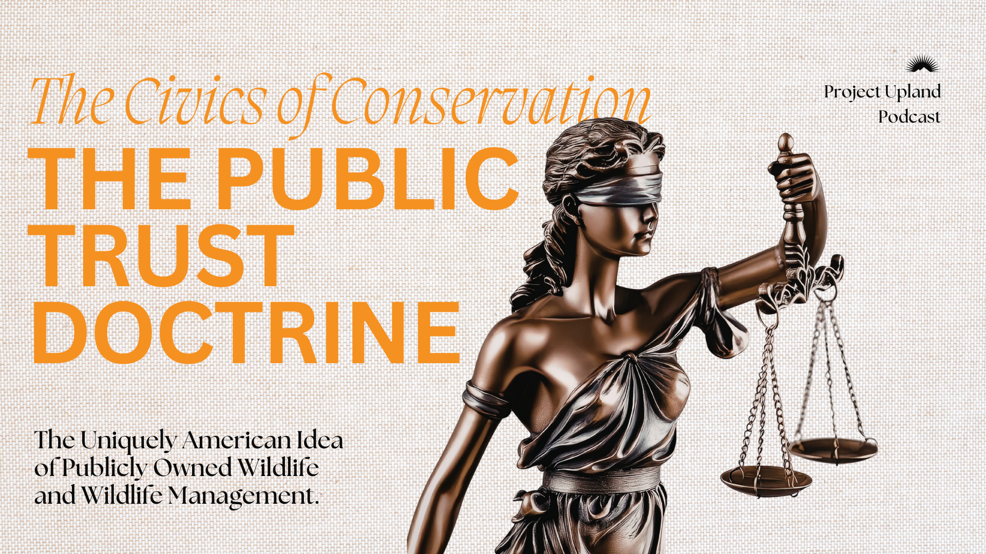 Public Trust Doctrine Youtube Episode cover