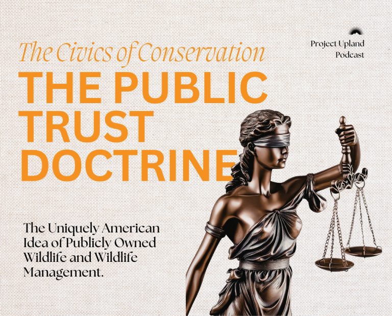 Cover for the podcast episode on the Public Trust Doctrine