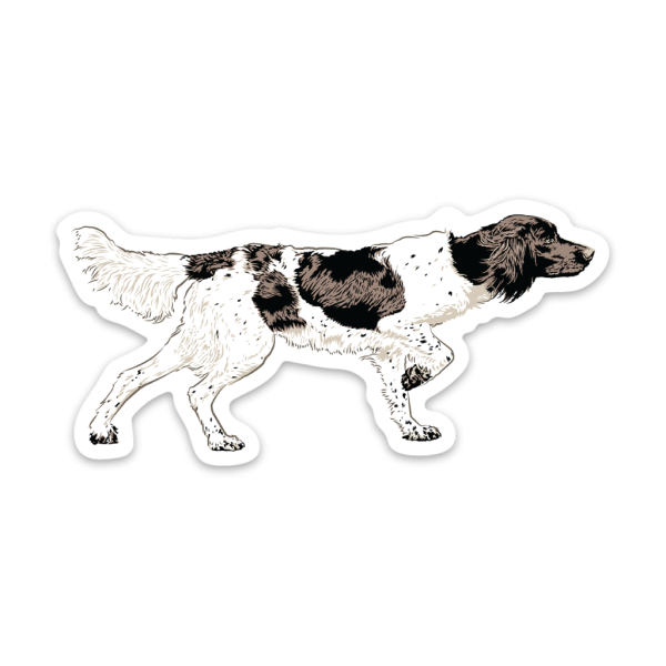 Small-Munsterlander-Classic-Sticker Classic Small Munsterlander Sticker