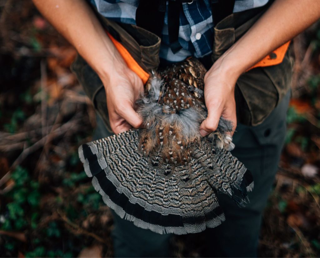 A hunter with a small game hunting license who successfully hunted ruffed grouse.