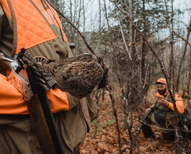 Two small game hunters working together and using teamwork to hunt ruffed grouse.