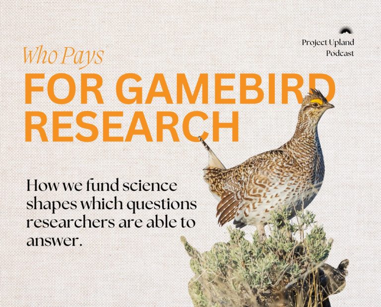 The cover of the Game Bird Research episode featuring a sharp-tailed grouse.