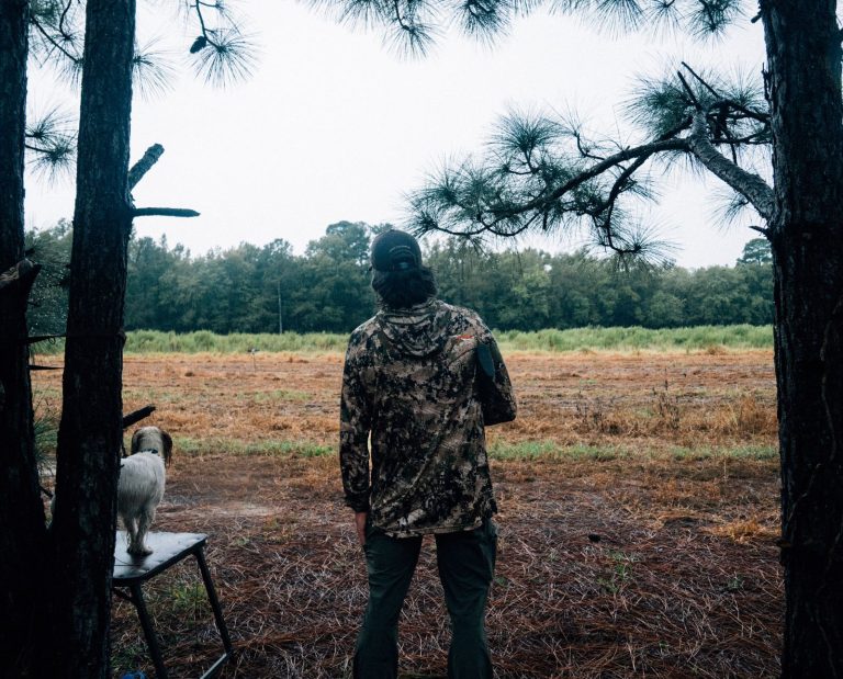 A solo dove hunter hunts mourning doves alone with his Cocker Spaniel.