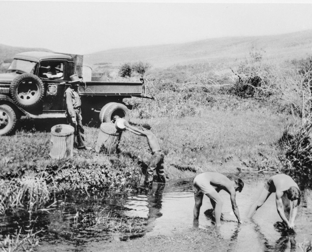 CCC work crews collecting aquatic plants to transplant at North Dakota’s Lower Souris Migratory Waterfowl Refuge in 1936, Library of Congress Prints & Photographs Division, HAER-NO 51-FOX V1-6.