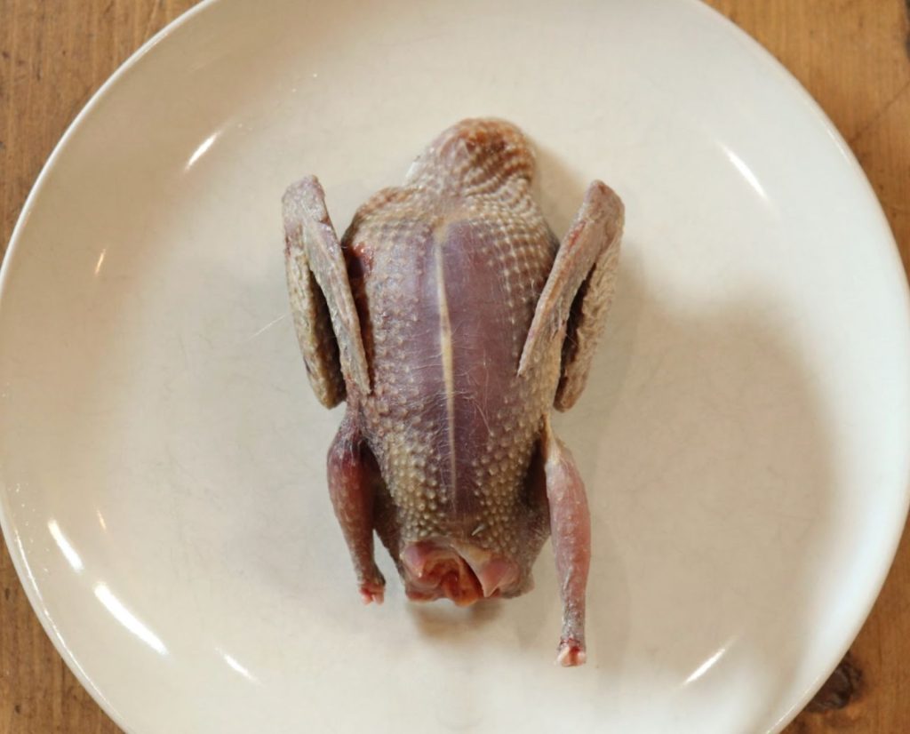 A plucked Eurasian collared dove on a plate, ready to cook.