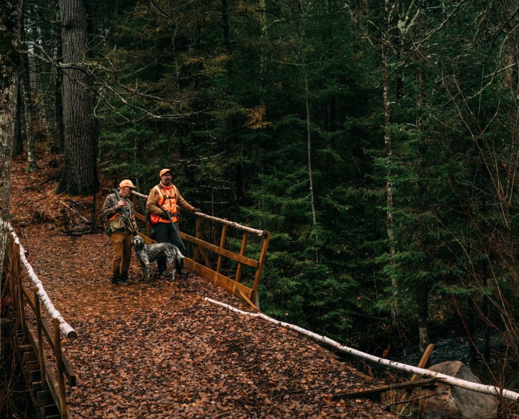 Two ruffed grouse hunters and an English Setter stand on a bridge on public land in Wisconsin.