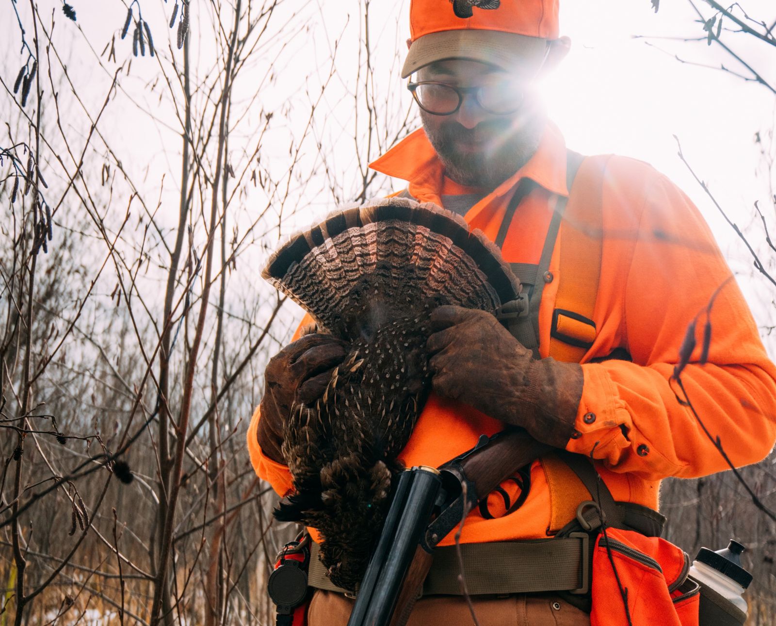 A hunter holds up a ruffed grouse and displays its tail fan while hunting in wisconsin.