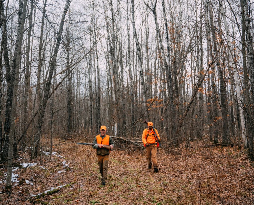Two hunters look for ruffed grouse in Wisconsin's woods.