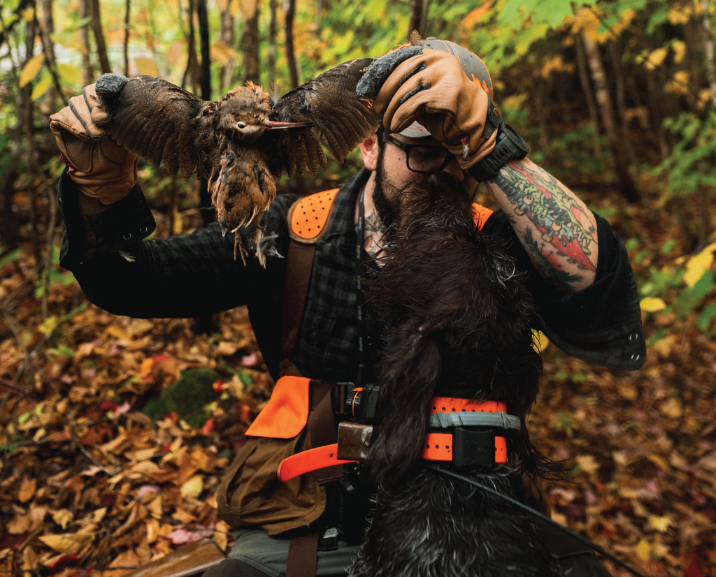 A dog licks his owners face after retrieving a woodcock. 