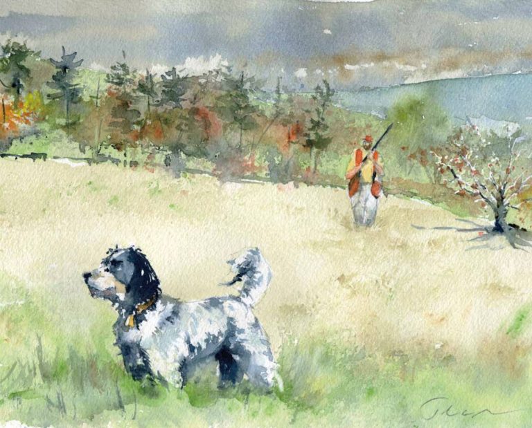 A painting of an English Setter on point with a ruffed grouse hunting walking behind him in October.
