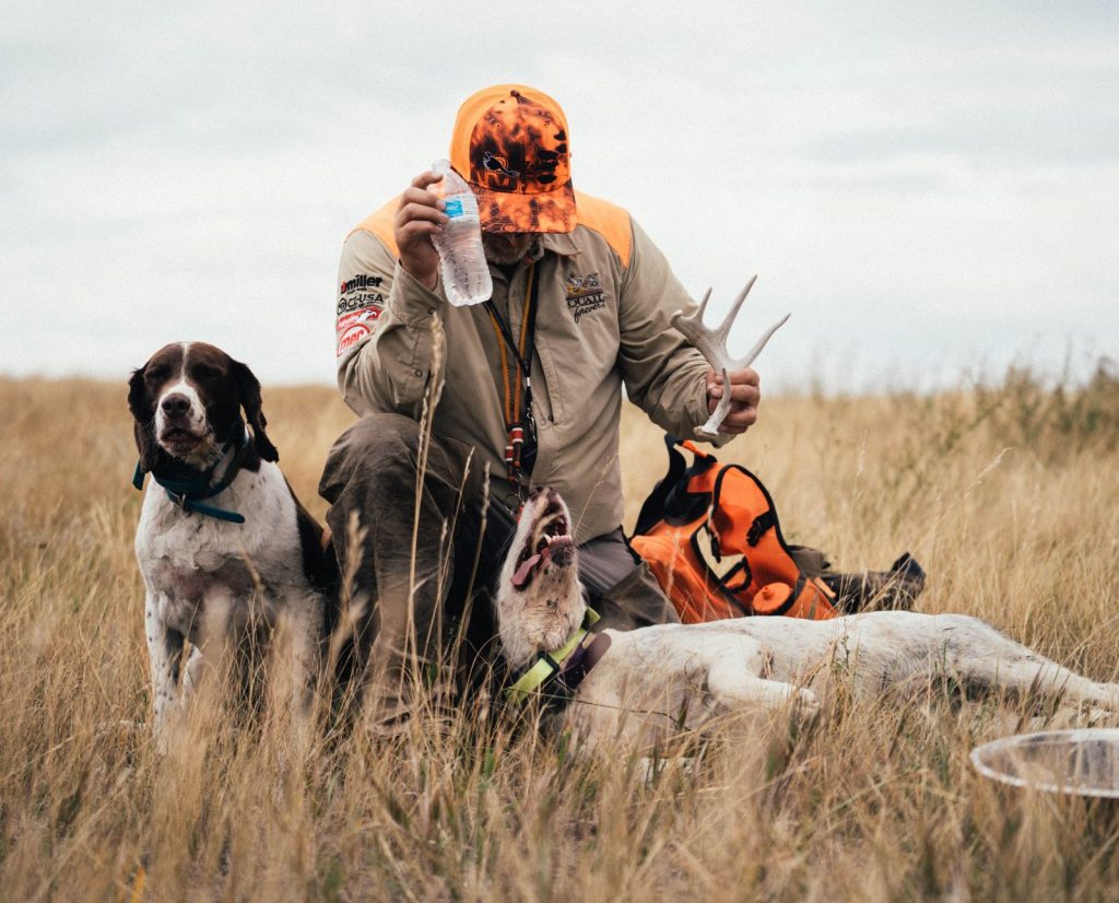 A hunter and his dogs rest while sharp-tailed grouse hunting in hot weather.